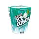 Chicles Bottle Wintergreen Ice Breakers - 115 Gr